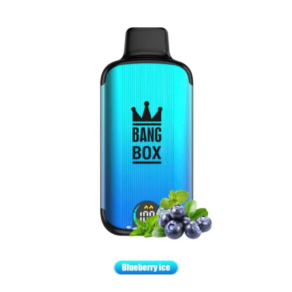 bang box 18000 puffs 3 VapeXYZ