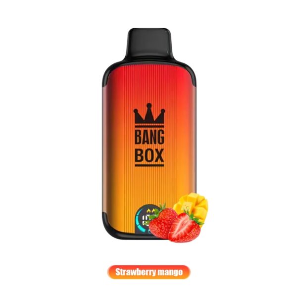 bang box 18000 puffs 9 VapeXYZ