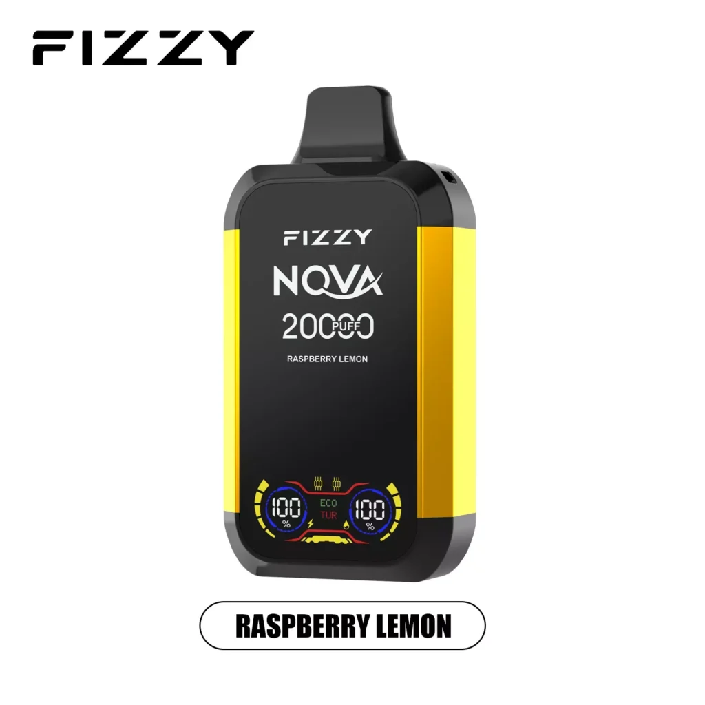 FIZZY Nova 20000 Puffs dvigubas tinklelis 2 5 mažai nikotino masinis Pirkti LCD ekranas Įkraunamas vienkartinis Vapes Pen Didmeninė prekyba 12 VapeXYZ